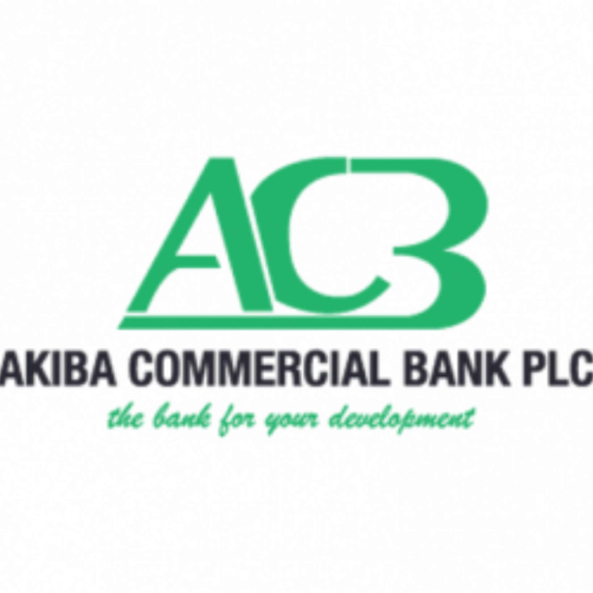 Insurance Manager at Akiba Commercial Bank October 2024