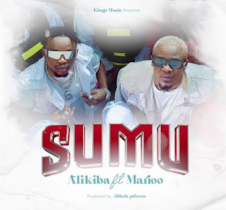 Audio Mpya | Alikiba Ft Marioo – Sumu | Download