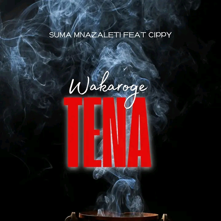 Audio Mpya | Suma Mnazaleti Ft Cippy – Wakaroge Tena | Download