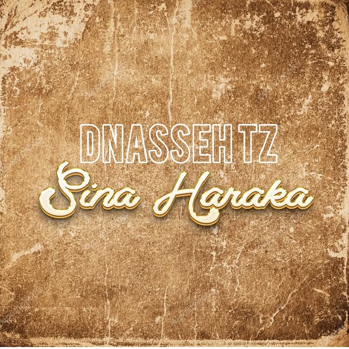 Audio Mpya | DNasse – Sina Haraka | Download