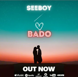 Audio Mpya | Seeboy Tz – Bado | Download